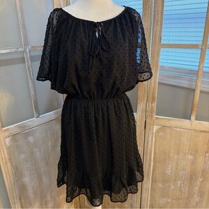 Love Black Sheer Mini Dress